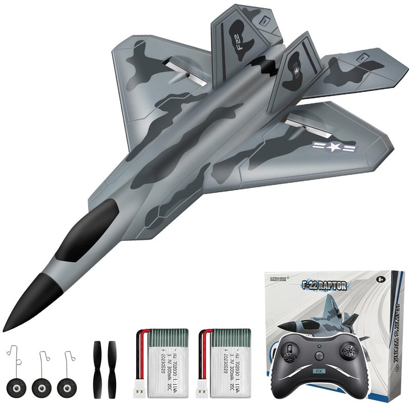 HAWK'S WORK 2 CH RC Airplane, F-22 Plane Ready to Fly, 2.4GHz Remote Control, Easy to Fly RC Glider for Kids & Beginners - Image 1